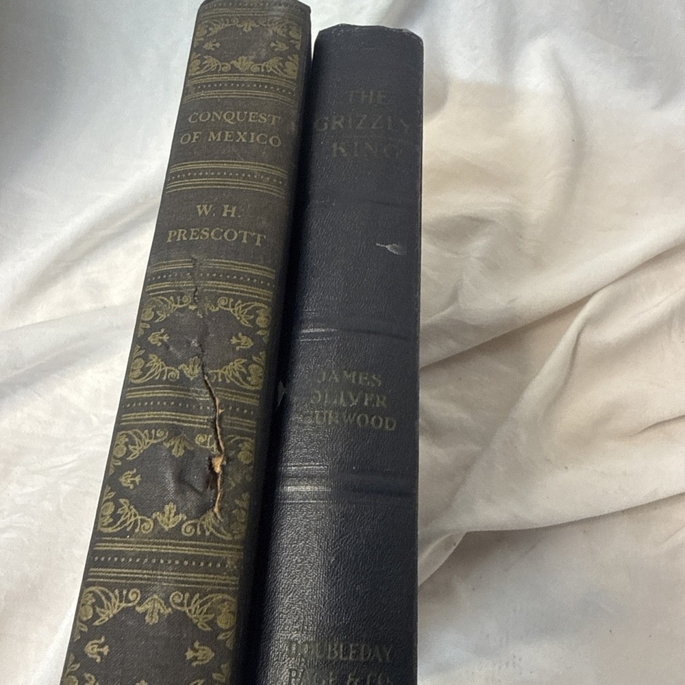 The Grizzly Signed 1928 Conquest of Mexico Hardcover Art Type Edition Vintage 2